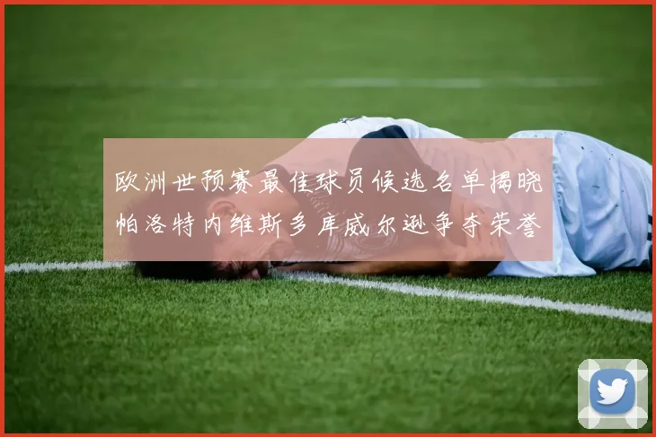 欧洲世预赛最佳球员候选名单揭晓帕洛特内维斯多库威尔逊争夺荣誉