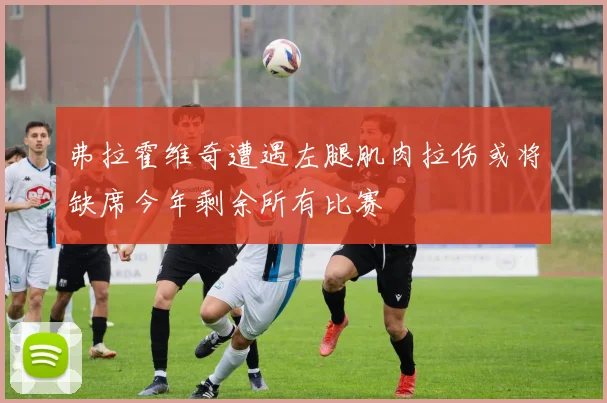 弗拉霍维奇遭遇左腿肌肉拉伤或将缺席今年剩余所有比赛